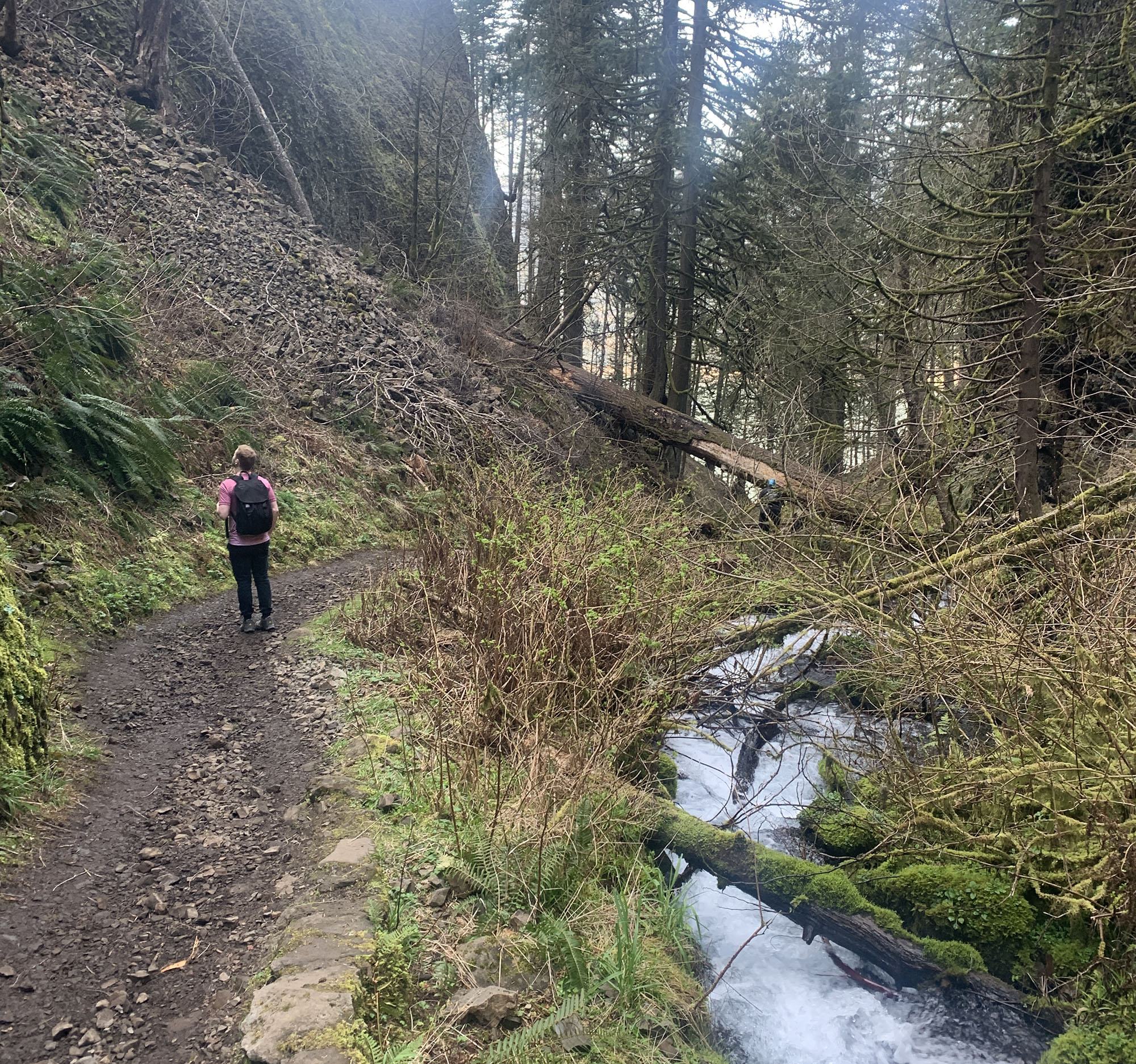 Wahkeena Trail, unkown solo hiker, March 20th, 2020