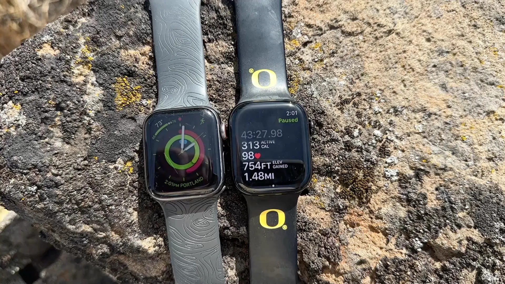 Apple Watch 5 and 10